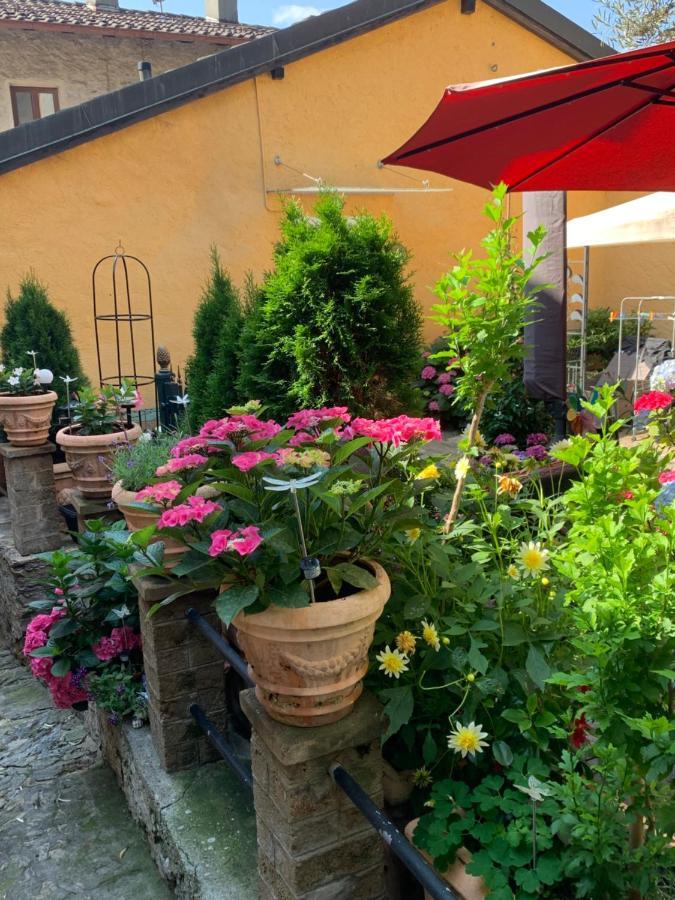 Ferienhaus, Rustico Auf Burg 로카르노 외부 사진